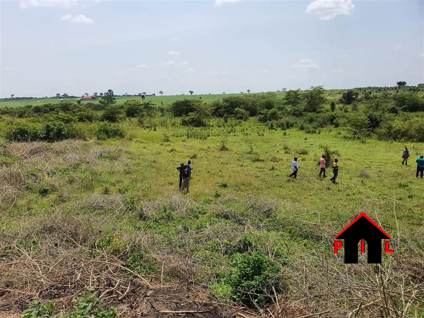 Agricultural Land for sale in Kadugala Masaka