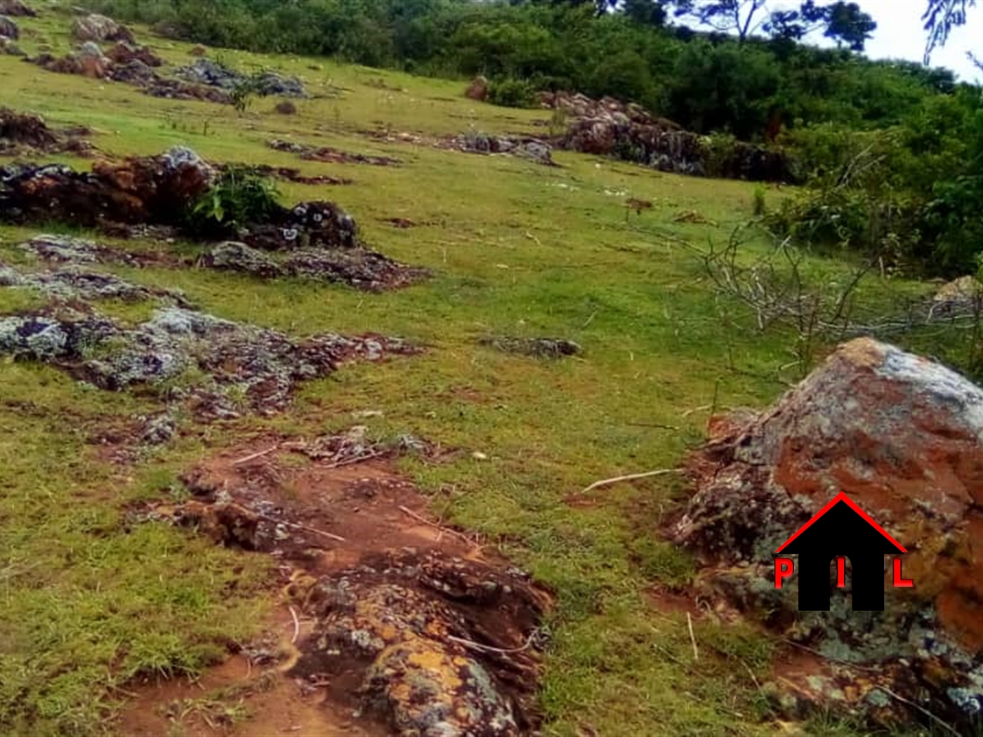 Commercial Land for sale in Lukalu Buyikwe