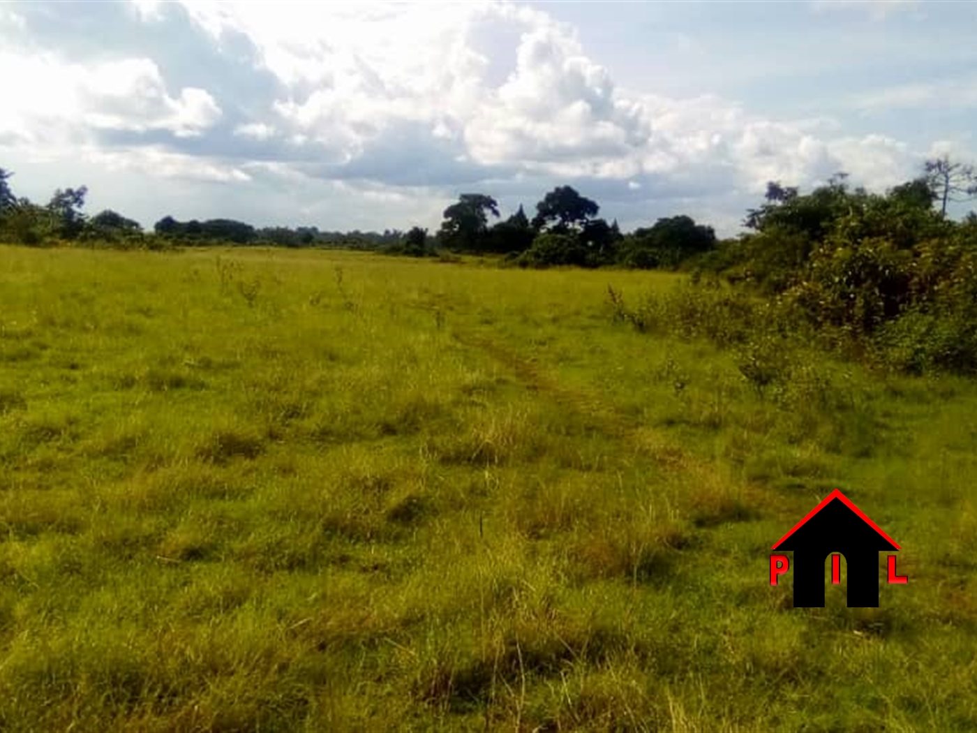 Agricultural Land for sale in Bwema Buyikwe