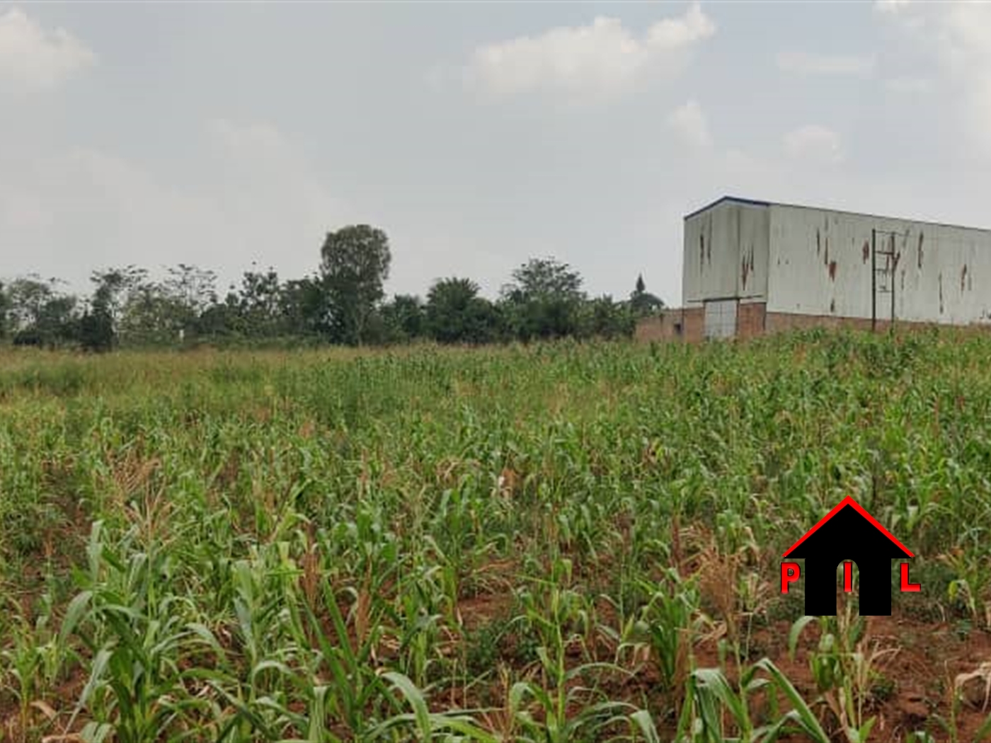 Agricultural Land for sale in Karuma Nwoya