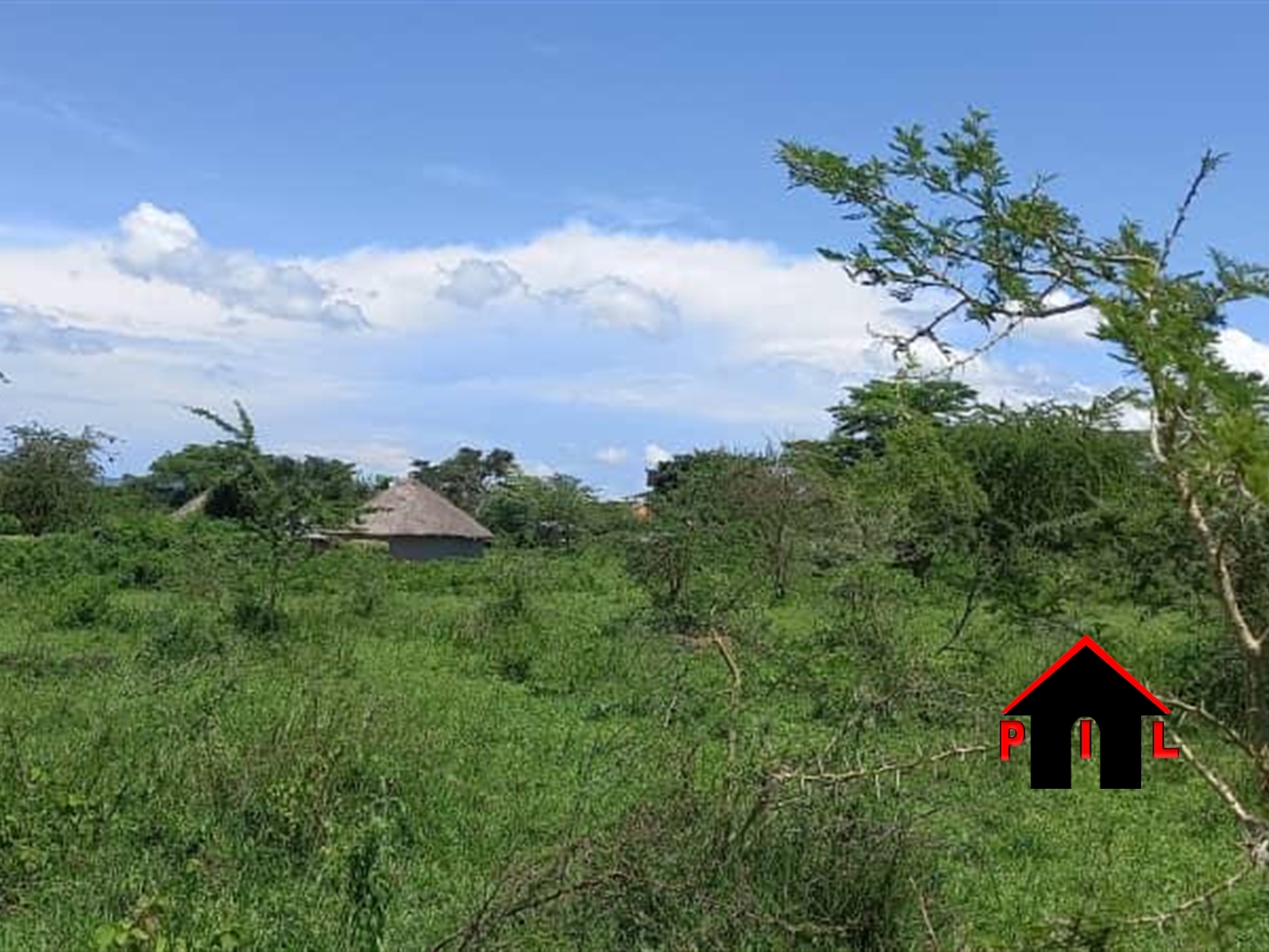 Agricultural Land for sale in Karuma Nwoya
