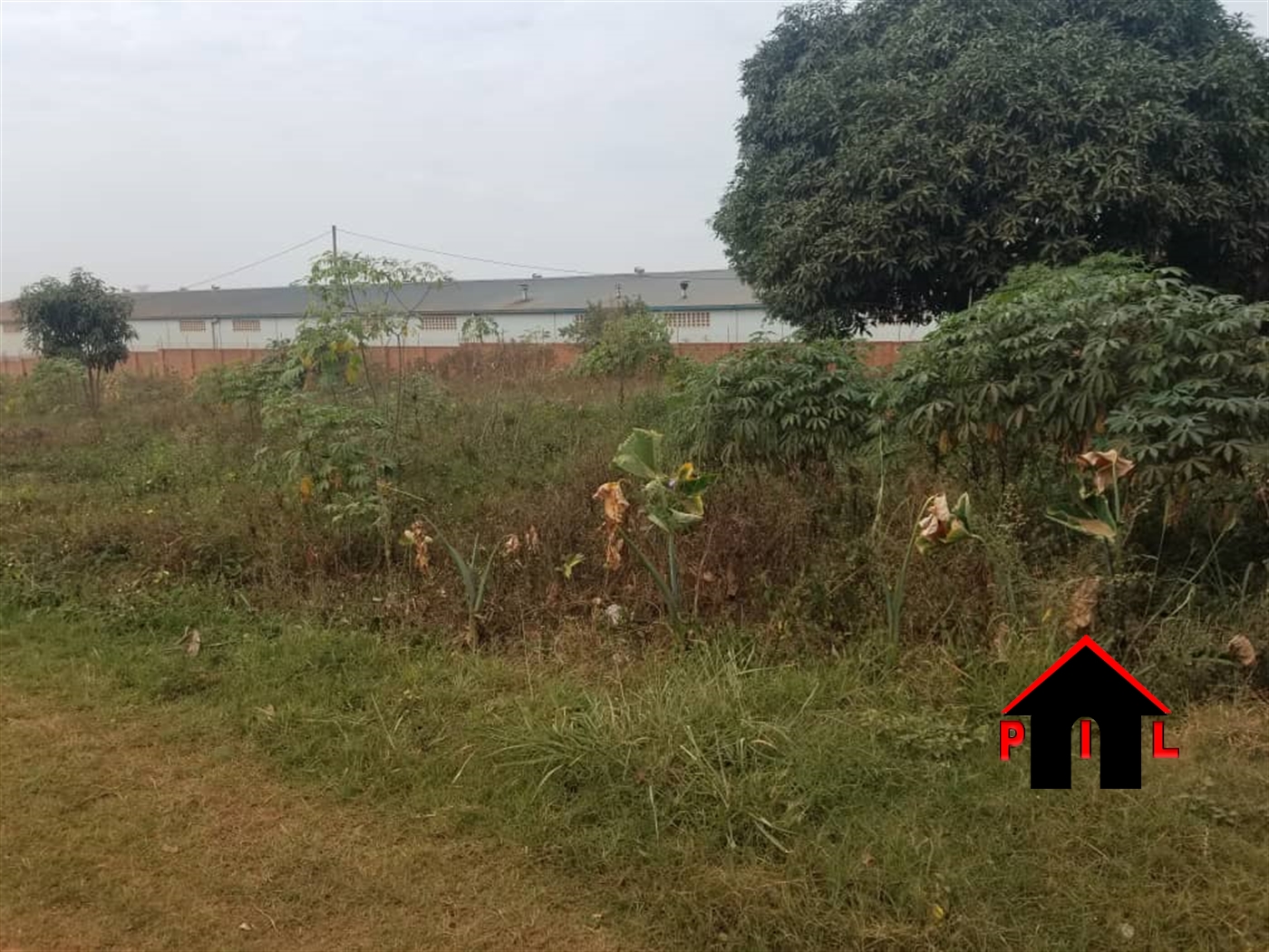 Residential Land for sale in Bbuuto Mukono