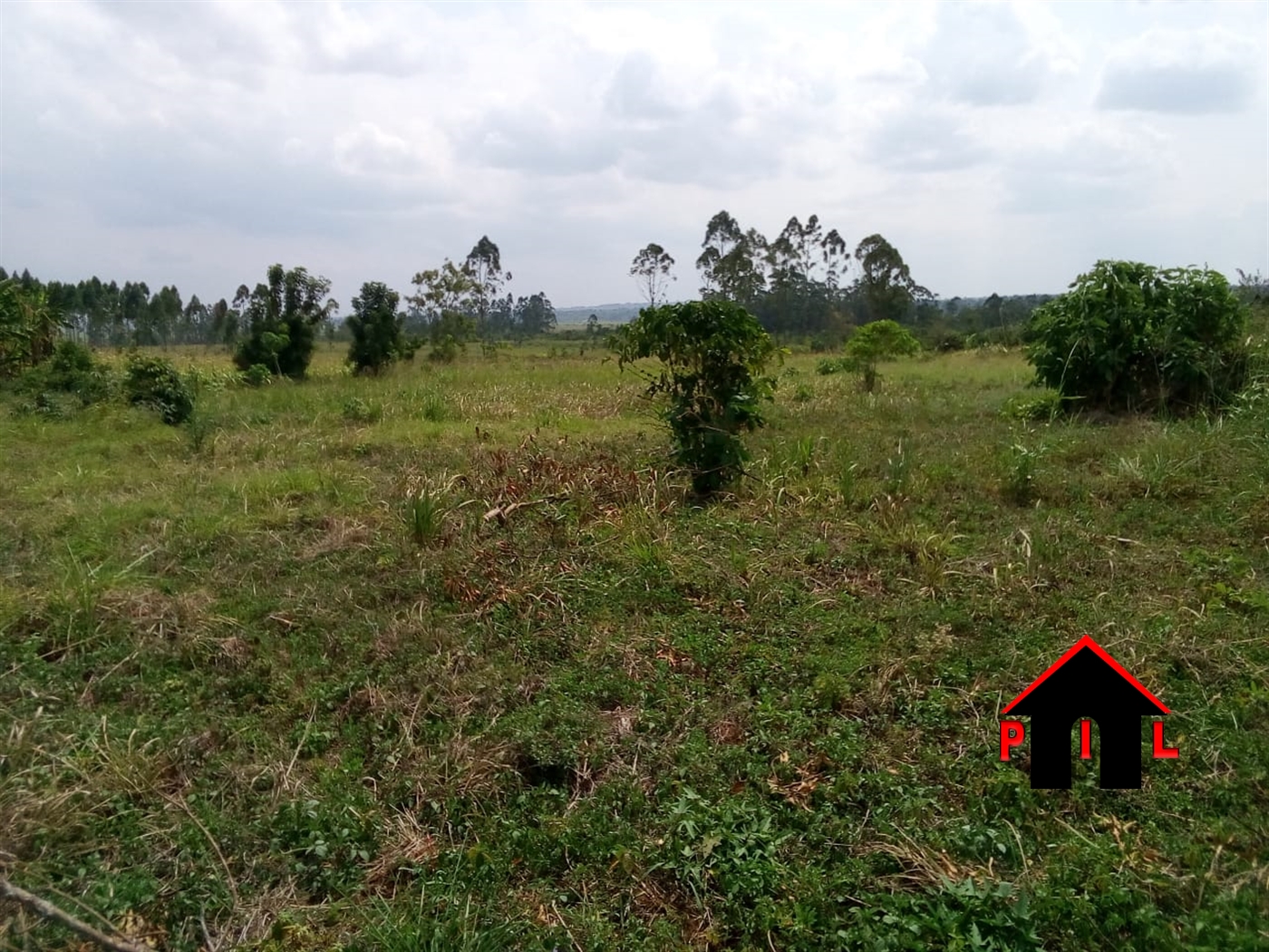 Agricultural Land for sale in Naama Mityana