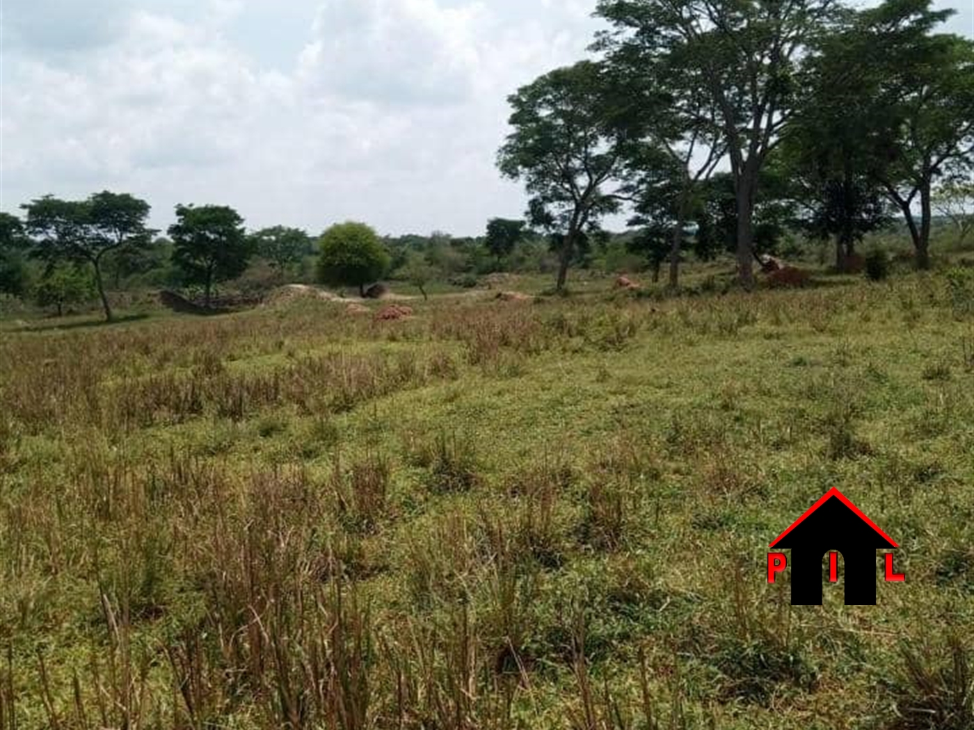 Farm for sale in Ngongolo Luweero