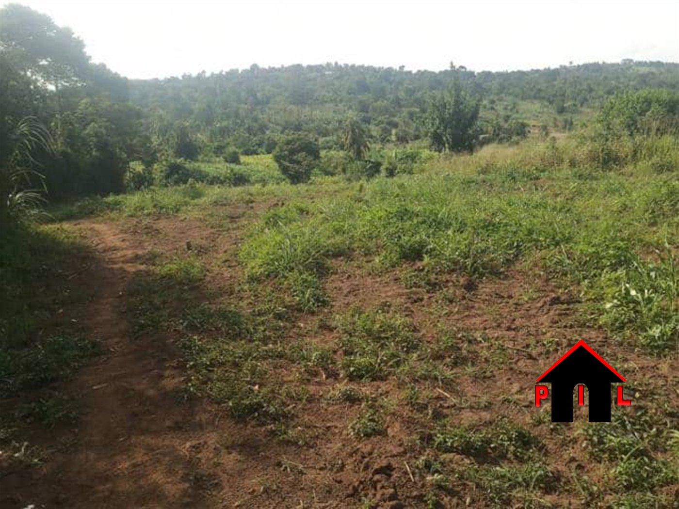Agricultural Land for sale in Kasambya Nakaseke