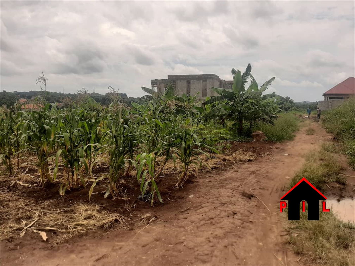 Residential Land for sale in Kiwenda Wakiso