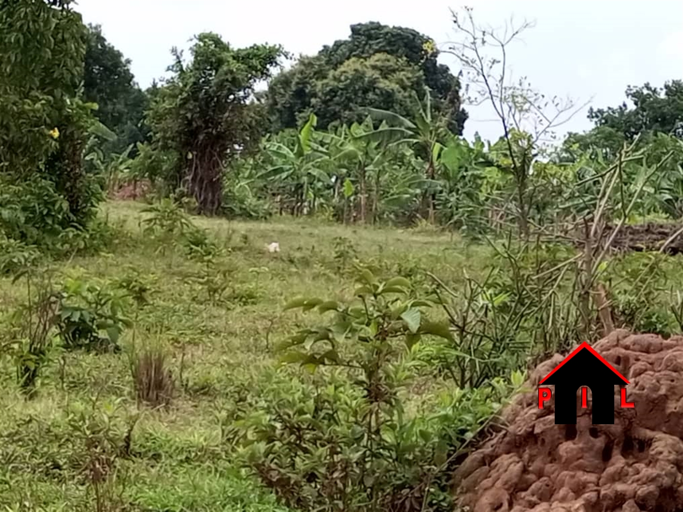 Residential Land for sale in Kawanda Wakiso