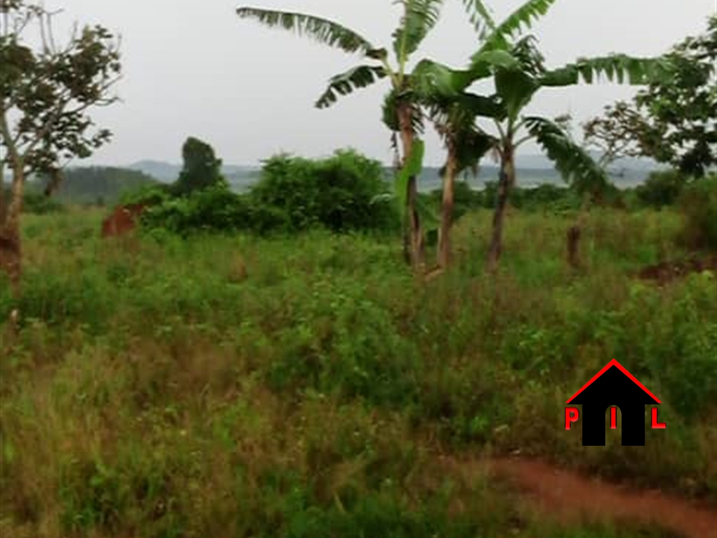 Commercial Land for sale in Ssazzi Wakiso