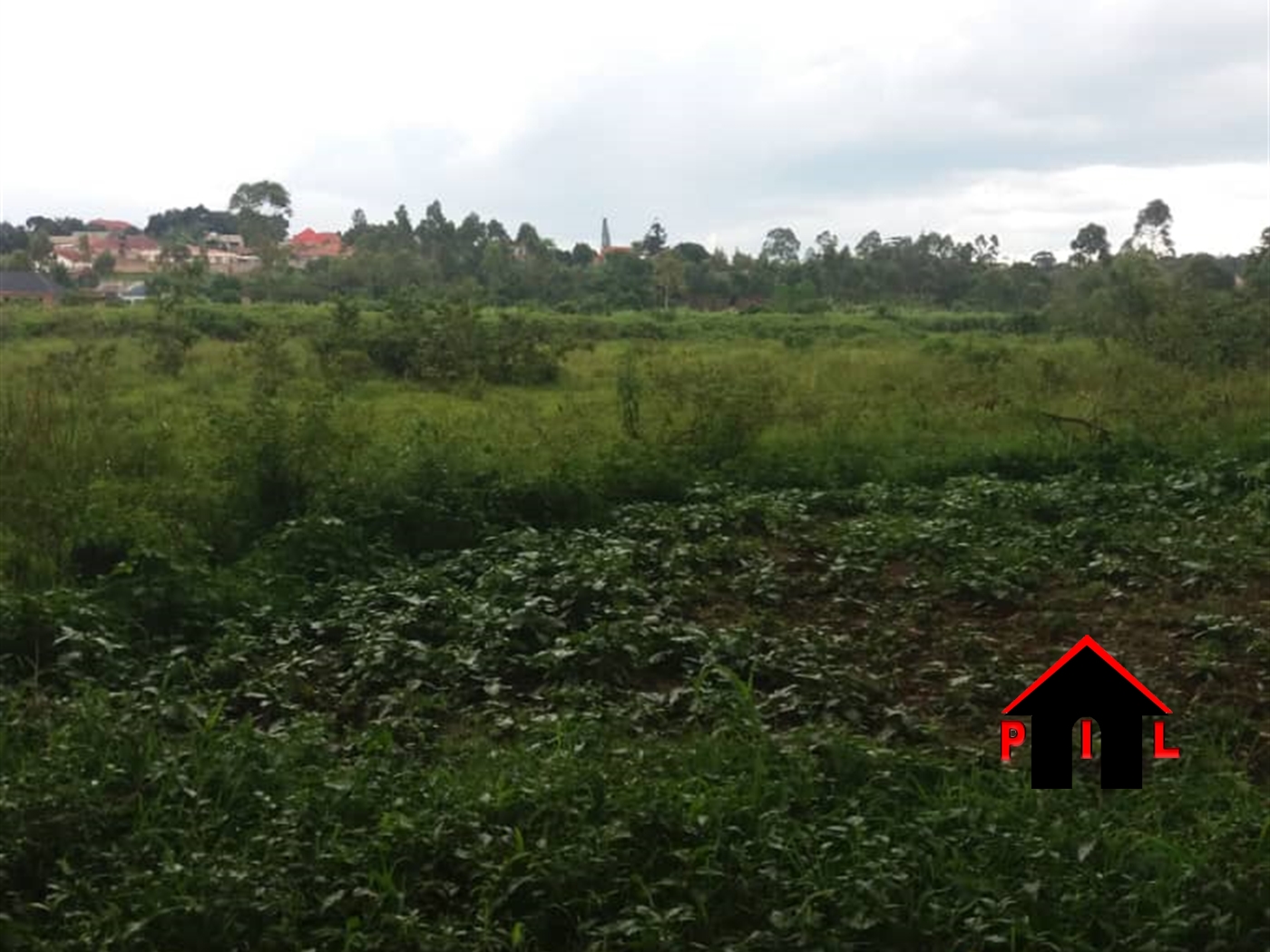 Agricultural Land for sale in Kiwanga Mukono