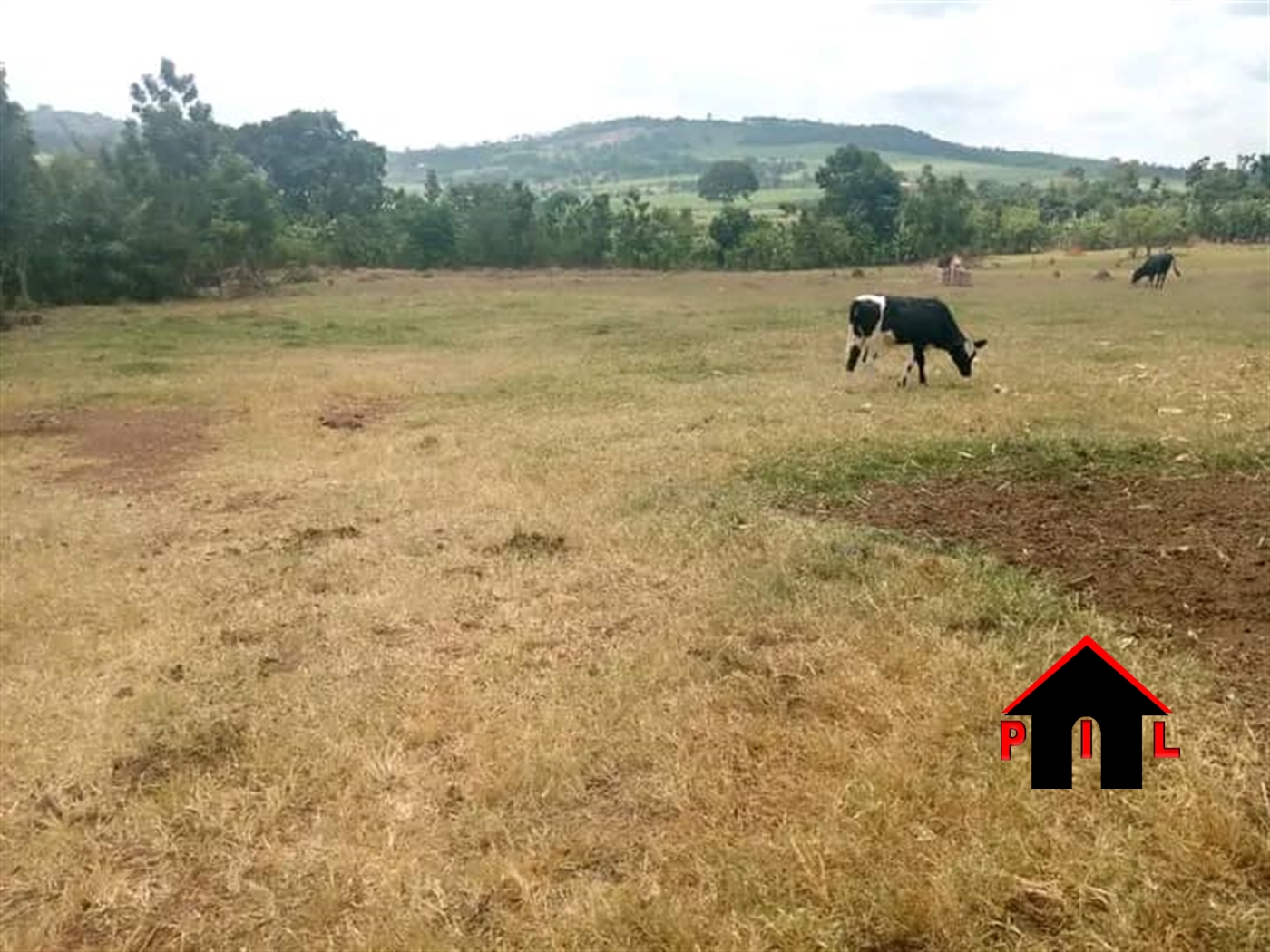 Agricultural Land for sale in Lugazi Buyikwe