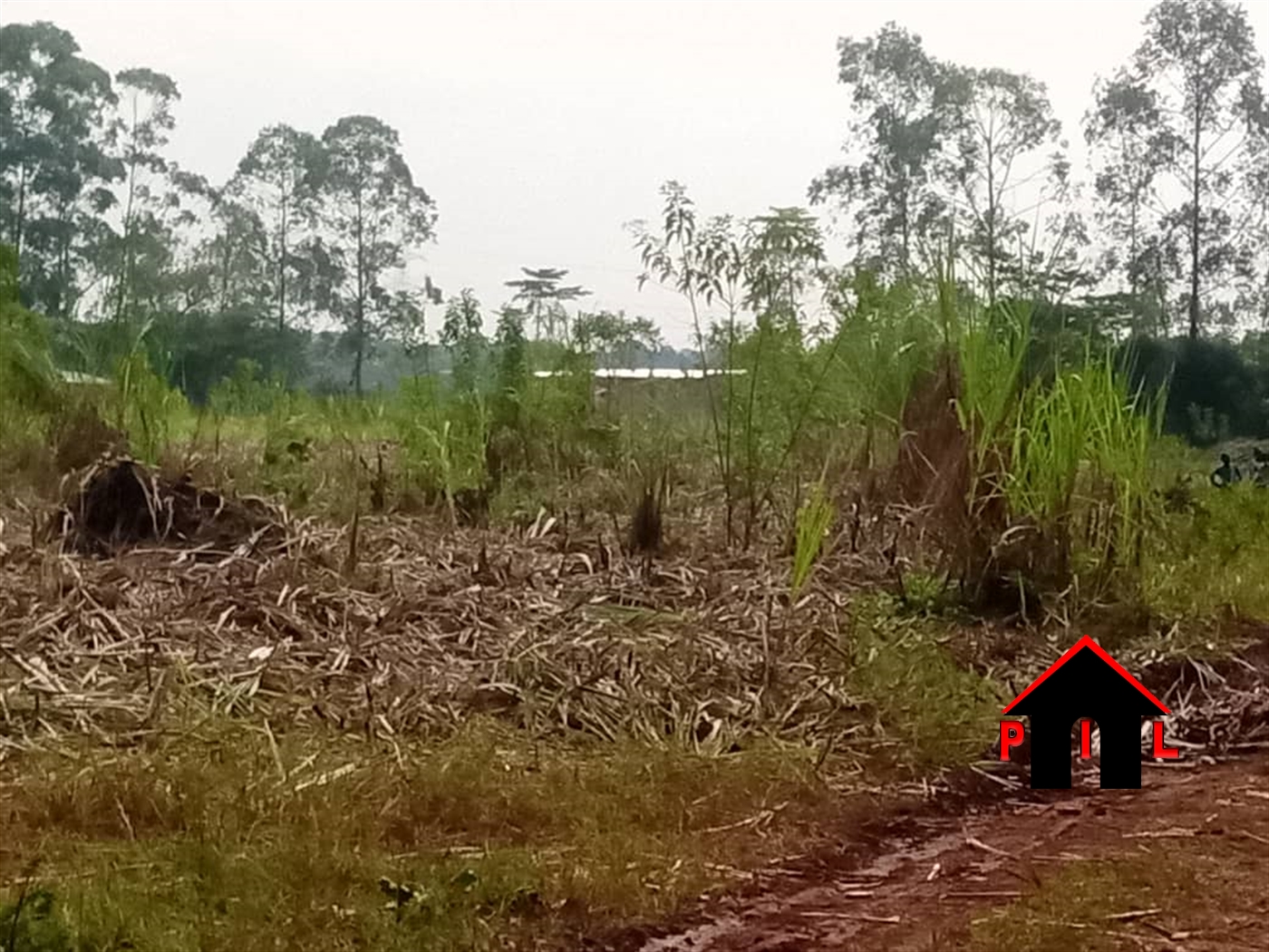 Agricultural Land for sale in Maddu Gomba
