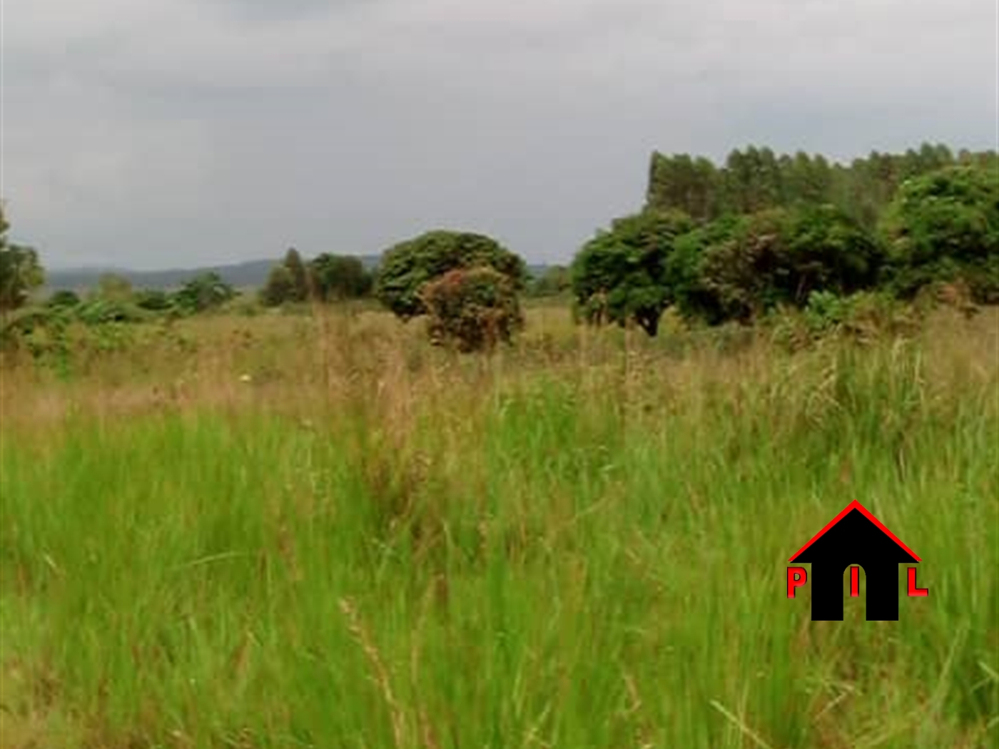 Commercial Land for sale in Kasanjje Wakiso