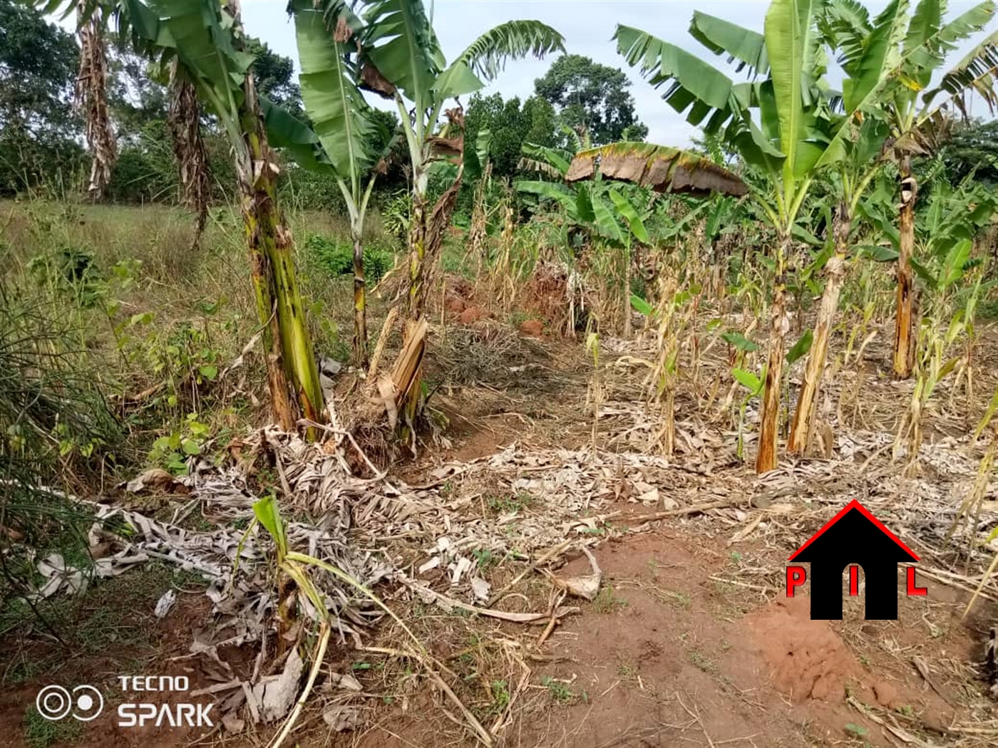 Agricultural Land for sale in Namatala Kayunga
