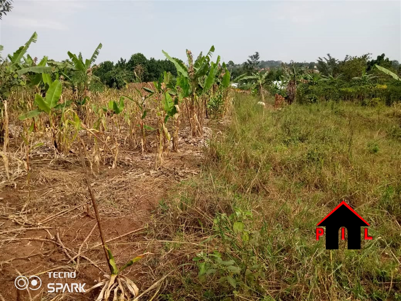 Agricultural Land for sale in Namatala Kayunga