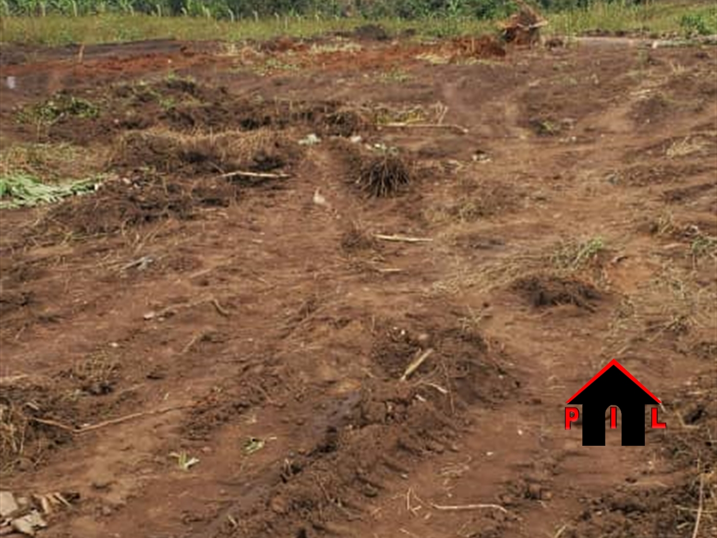 Agricultural Land for sale in Mafuga Kabaale