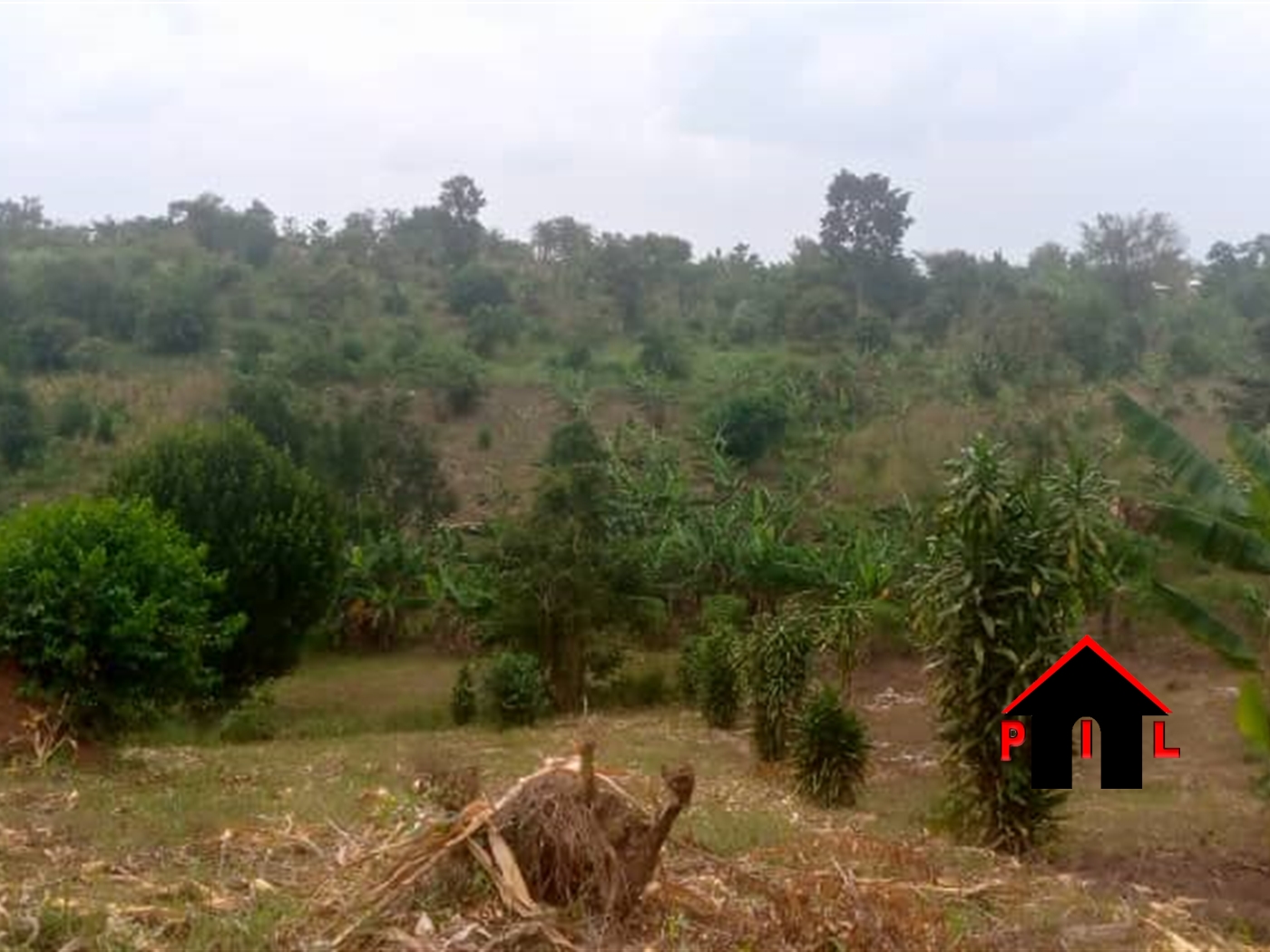 Agricultural Land for sale in Matugga Wakiso