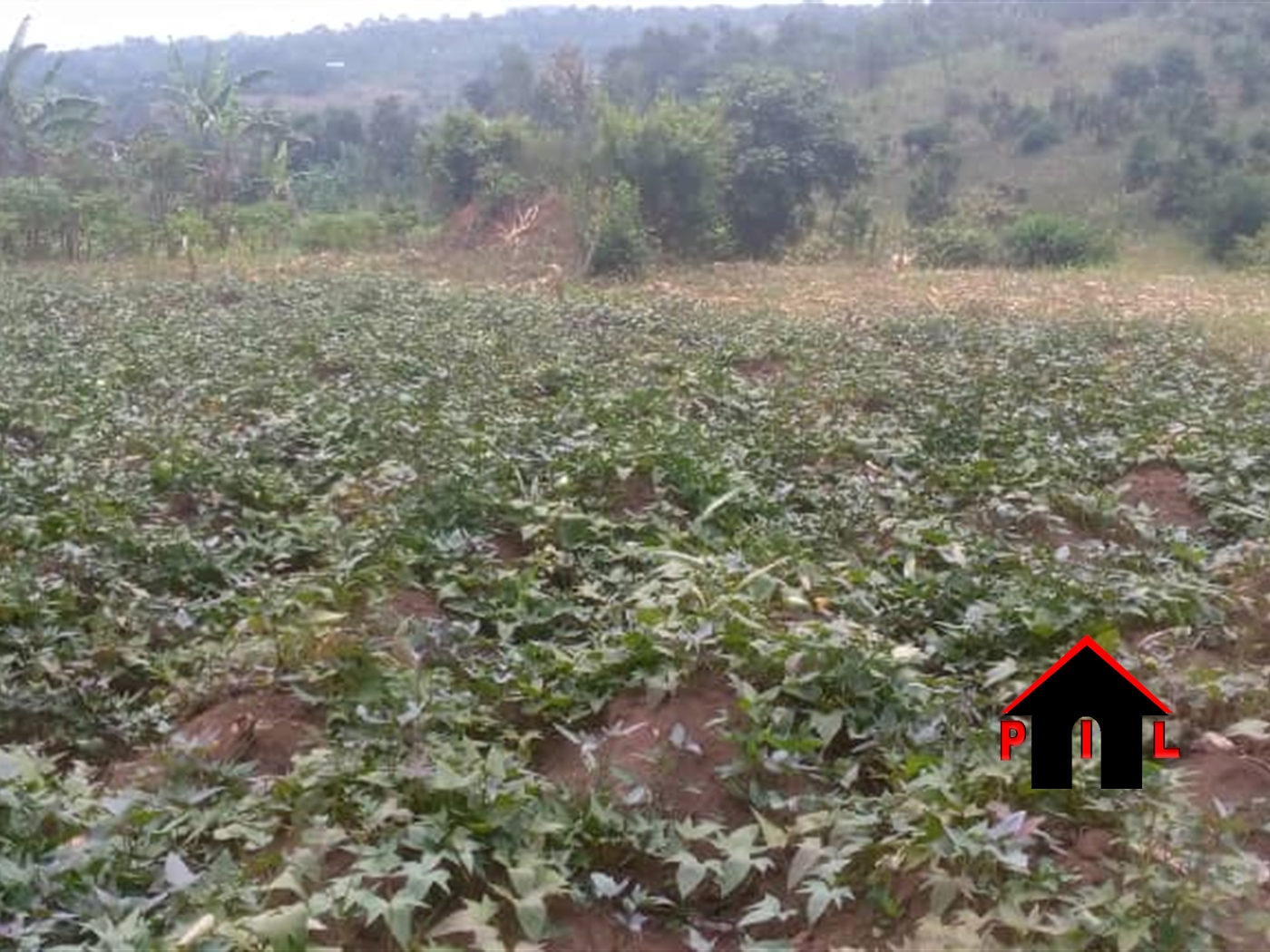 Agricultural Land for sale in Matugga Wakiso