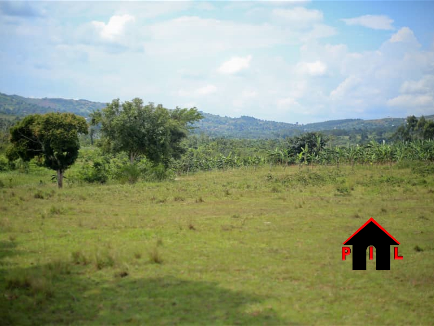 Agricultural Land for sale in Nabusanke Nakapiripirit