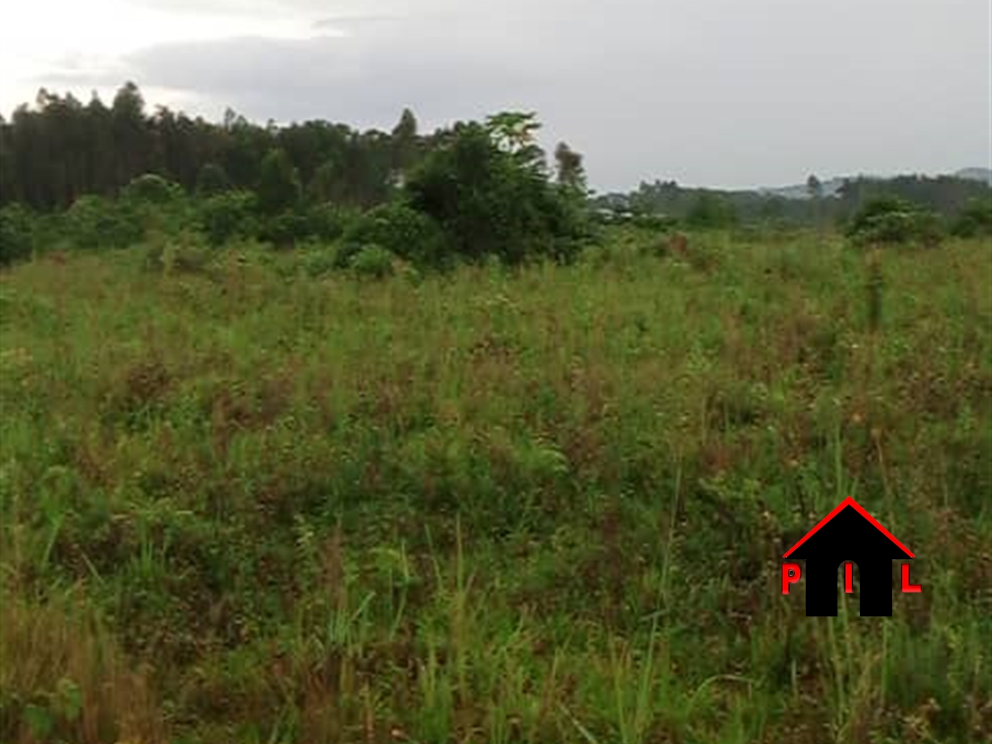 Agricultural Land for sale in Nabusanke Nakapiripirit