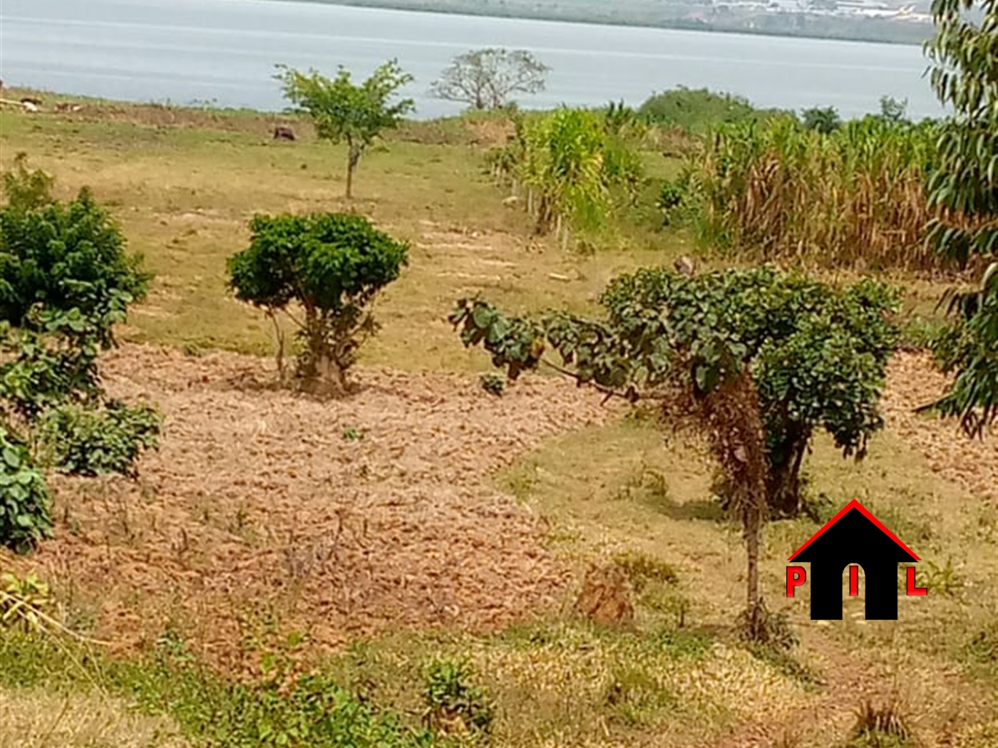 Commercial Land for sale in Lulongo Wakiso