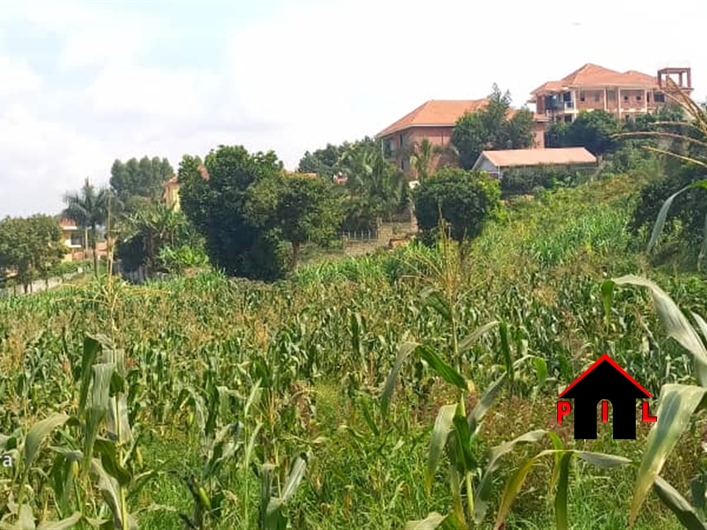 Commercial Land for sale in Lubowa Wakiso