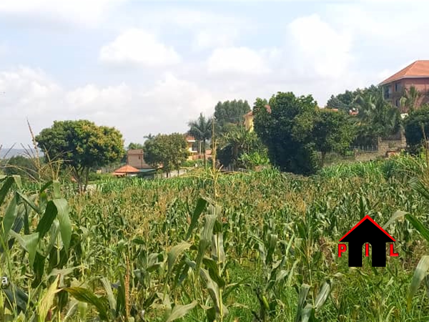 Commercial Land for sale in Lubowa Wakiso