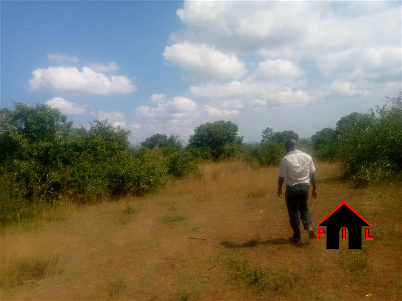 Agricultural Land for sale in Mitalamaria Mpigi