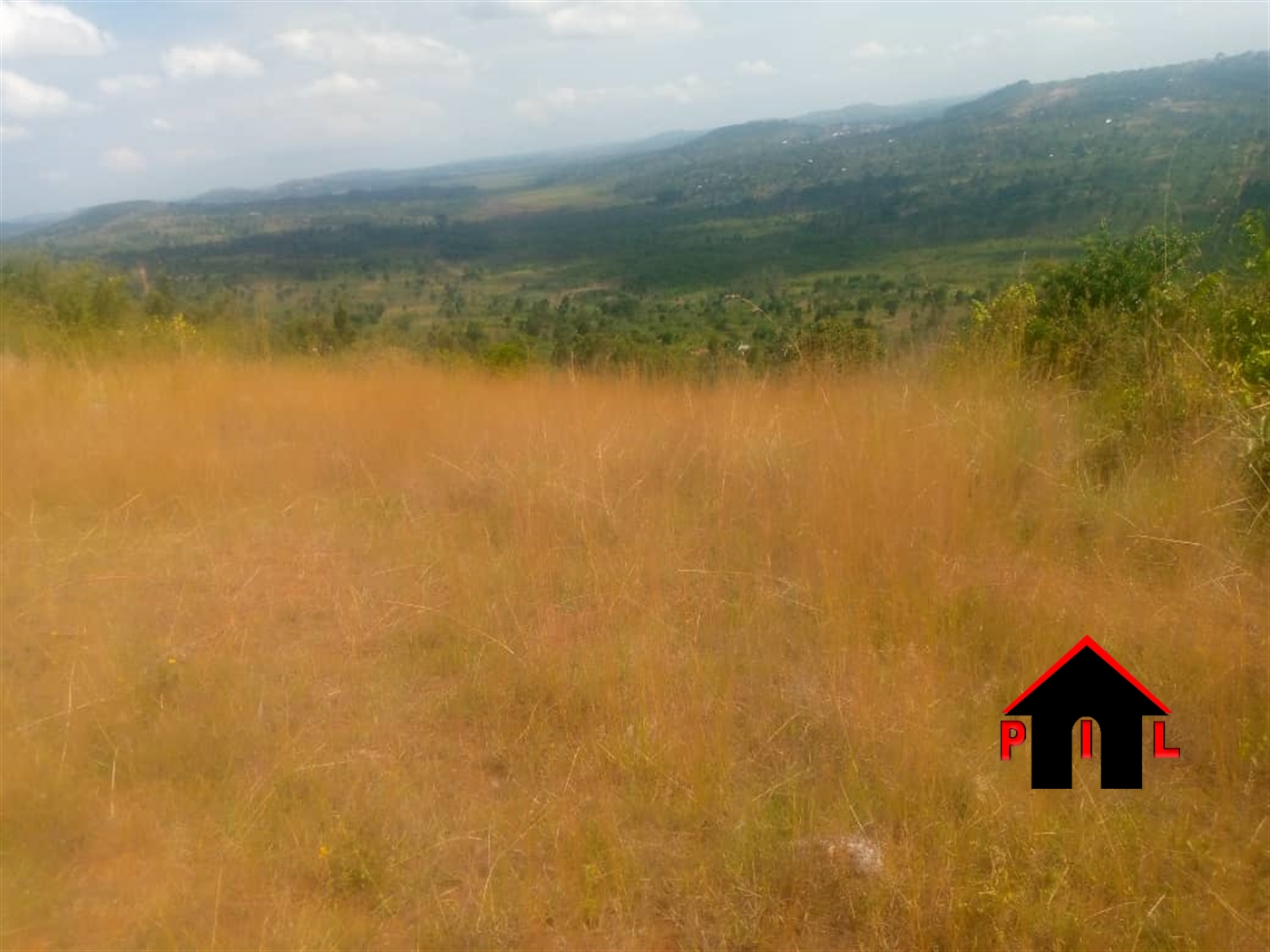 Agricultural Land for sale in Mitalamaria Mpigi