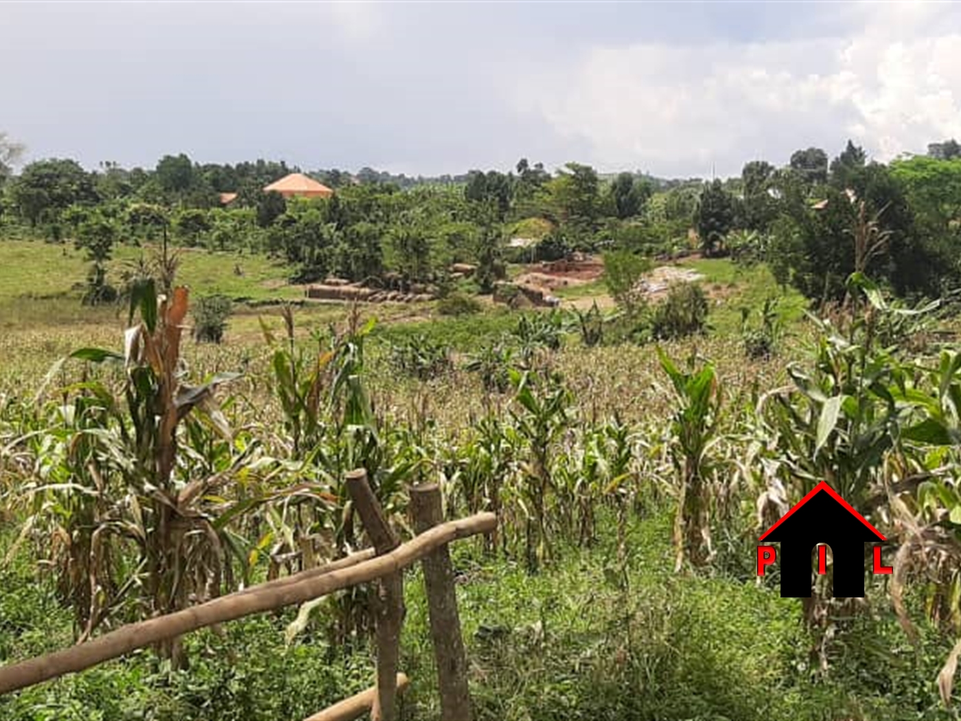 Commercial Land for sale in Matugga Wakiso