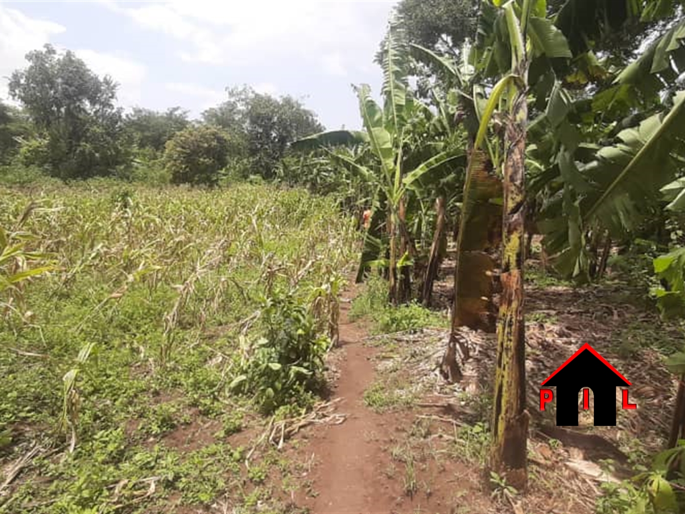 Commercial Land for sale in Matugga Wakiso