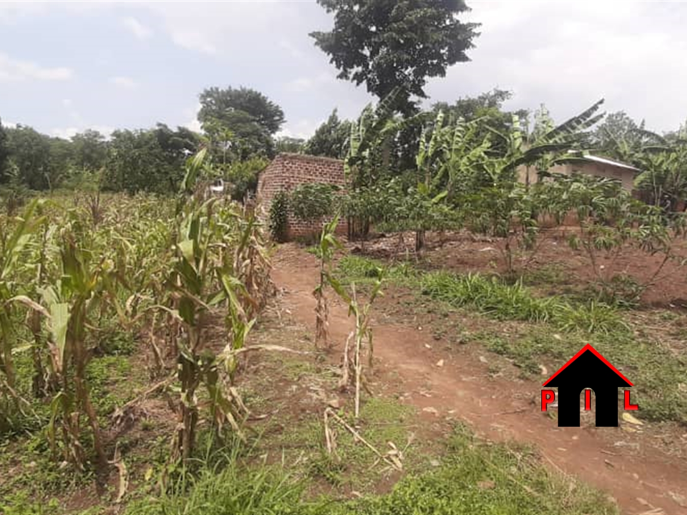 Commercial Land for sale in Matugga Wakiso