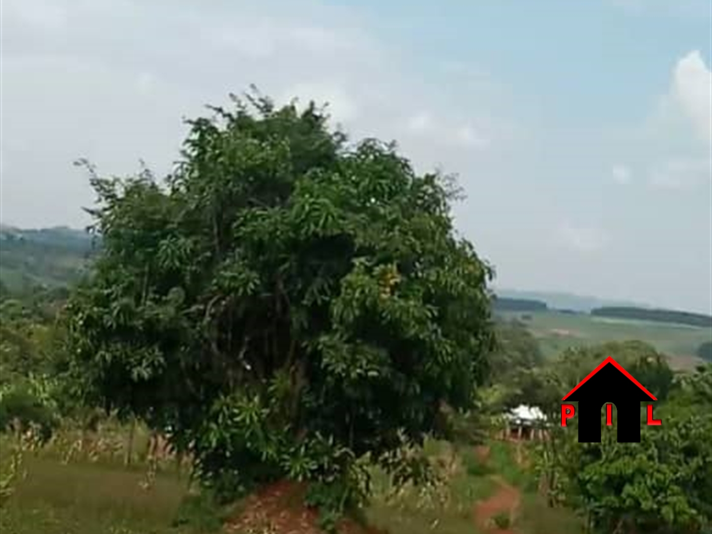 Agricultural Land for sale in Namatogonya Buyikwe