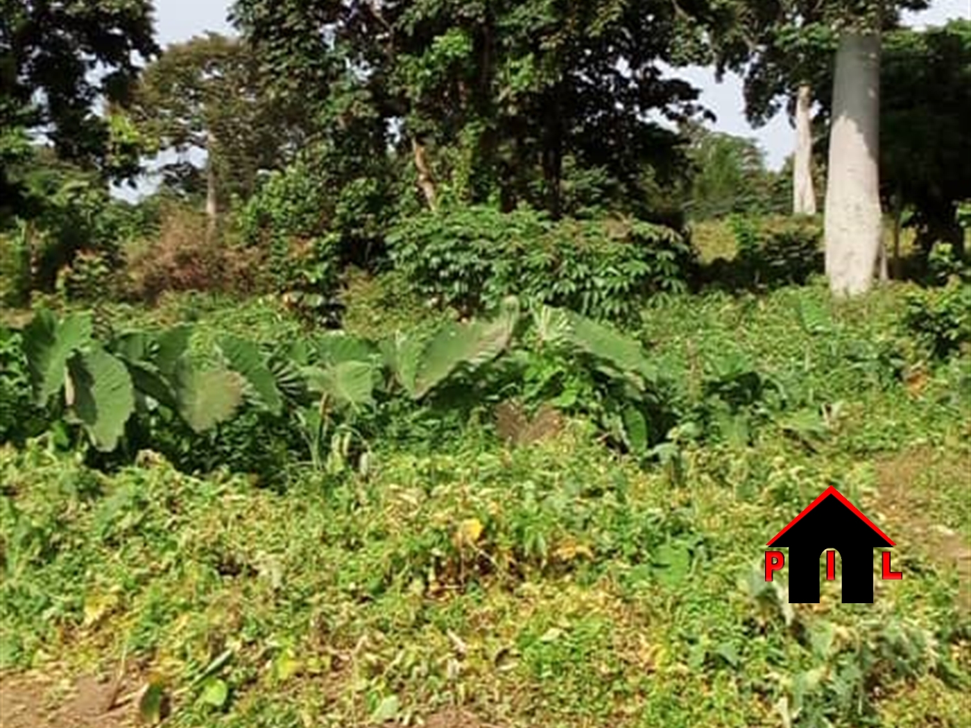 Commercial Land for sale in Bwelenga Wakiso