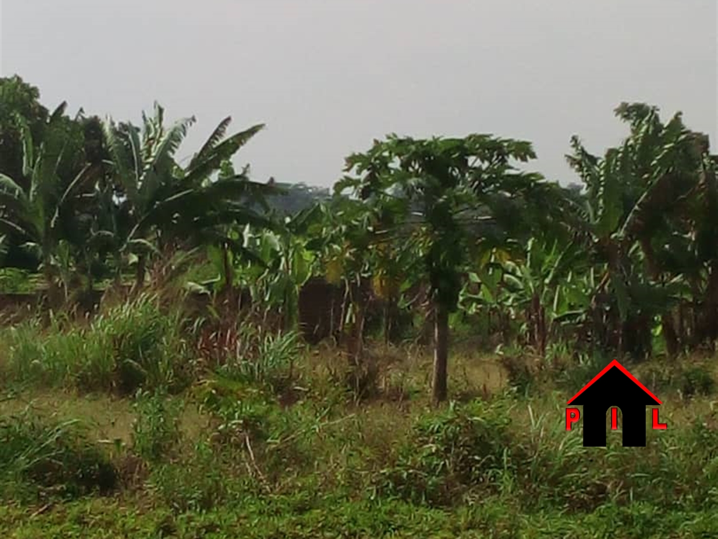 Commercial Land for sale in Ziloobwe Luweero