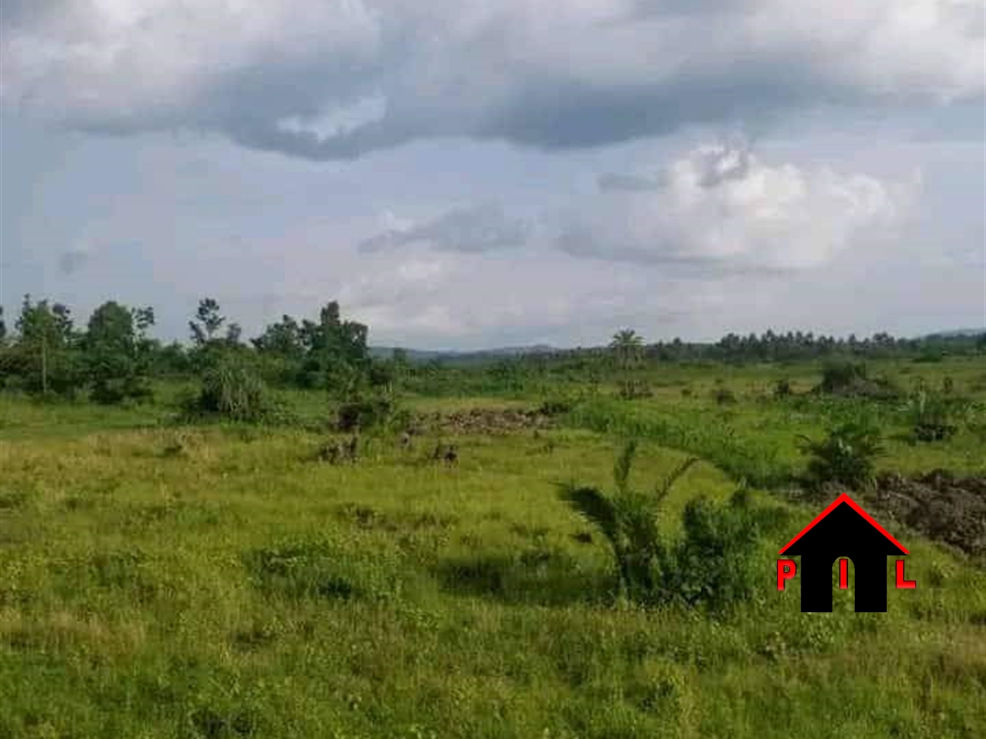 Farm for sale in Kisozi Gomba