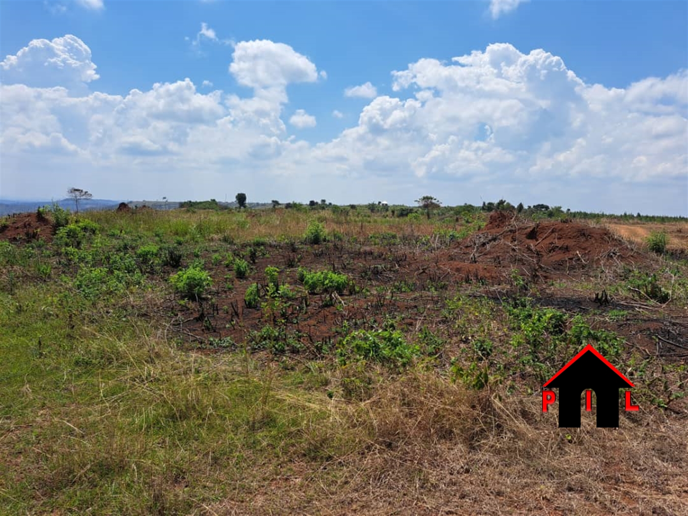 Agricultural Land for sale in Buwama Masaka