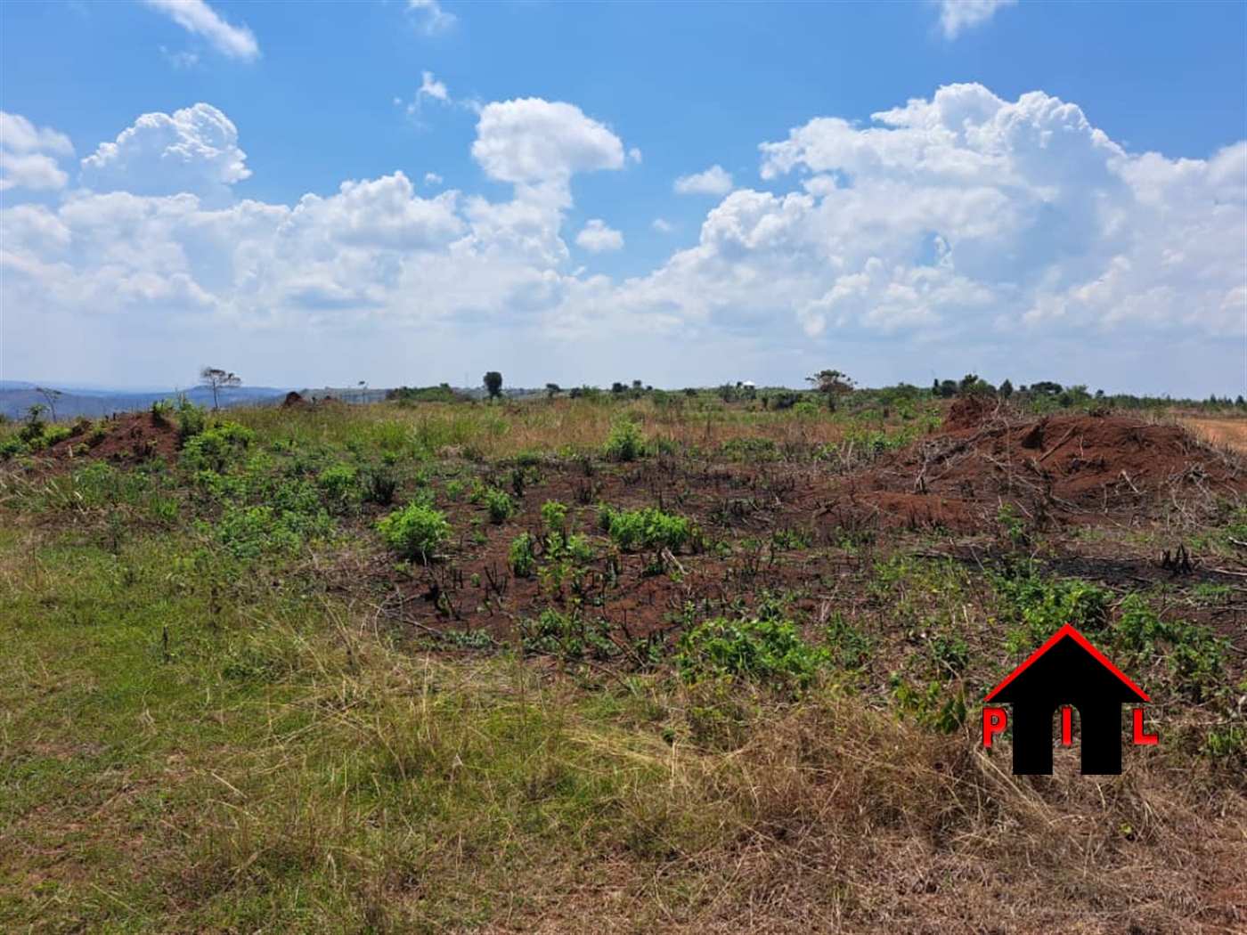 Agricultural Land for sale in Buwama Masaka