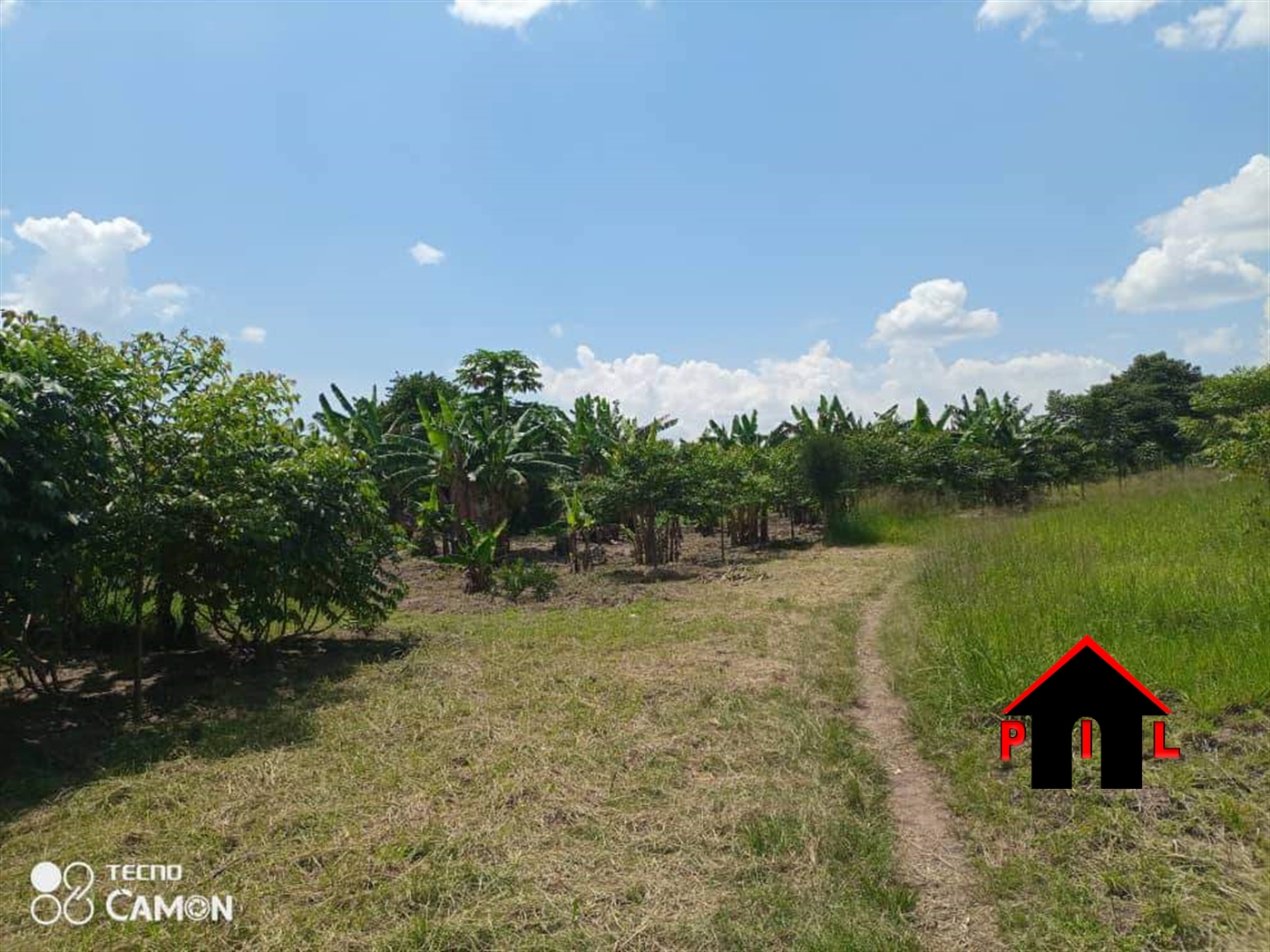 Agricultural Land for sale in Kamila Luwero