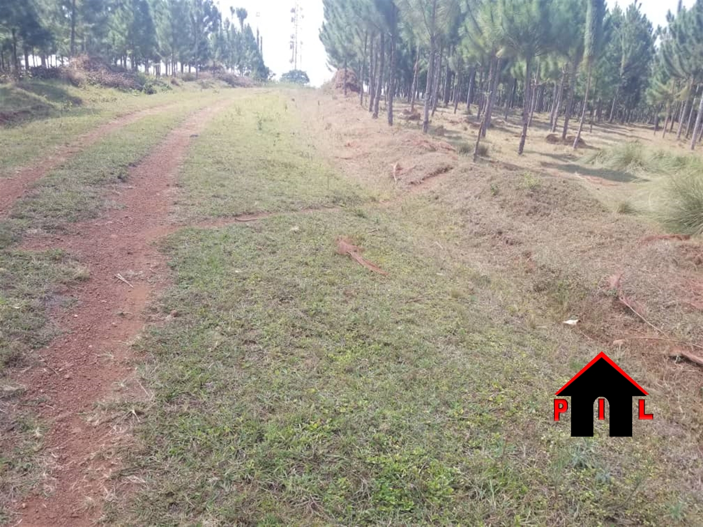 Commercial Land for sale in Kamengo Mpigi