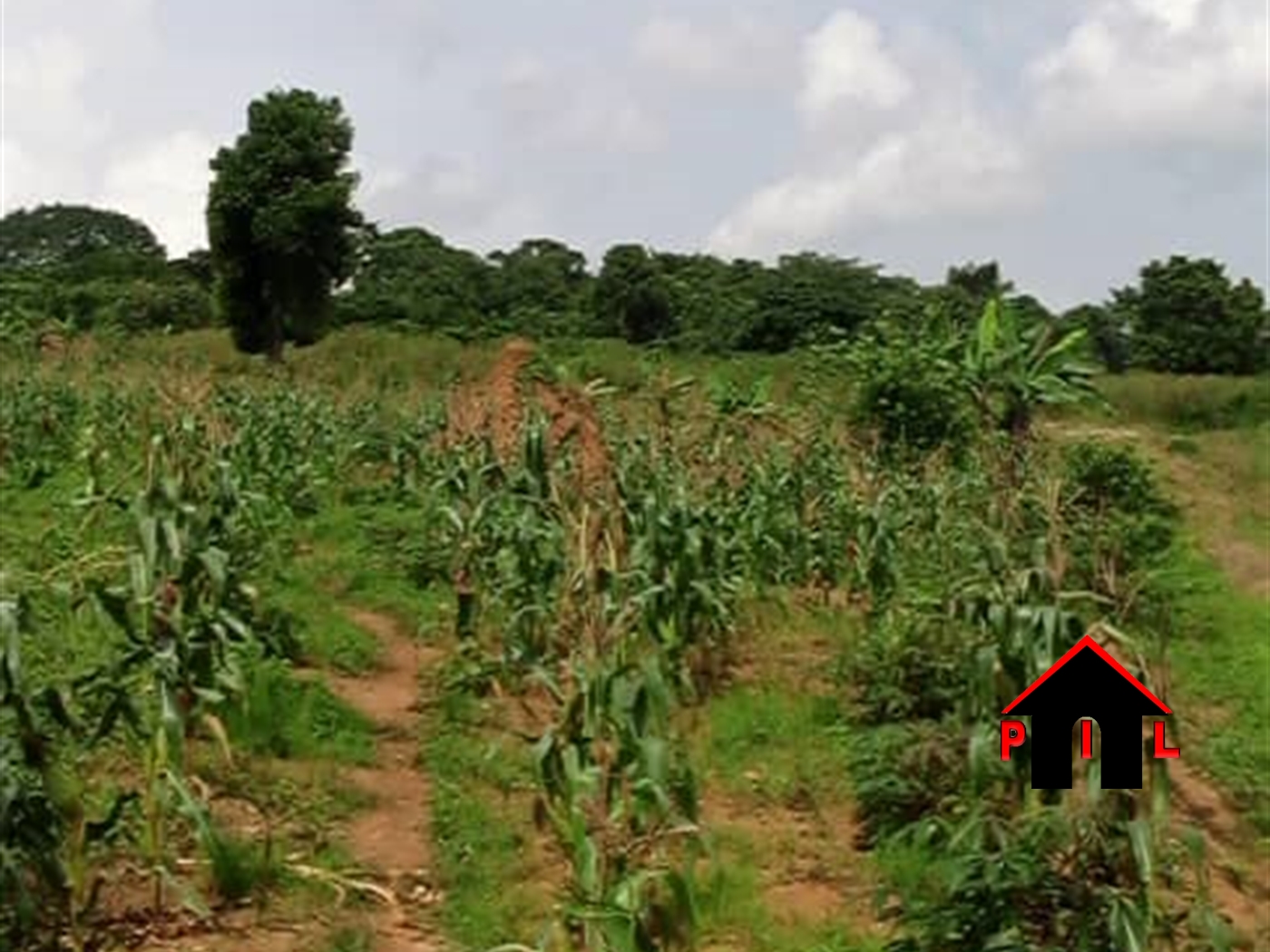 Commercial Land for sale in Bukasa Wakiso