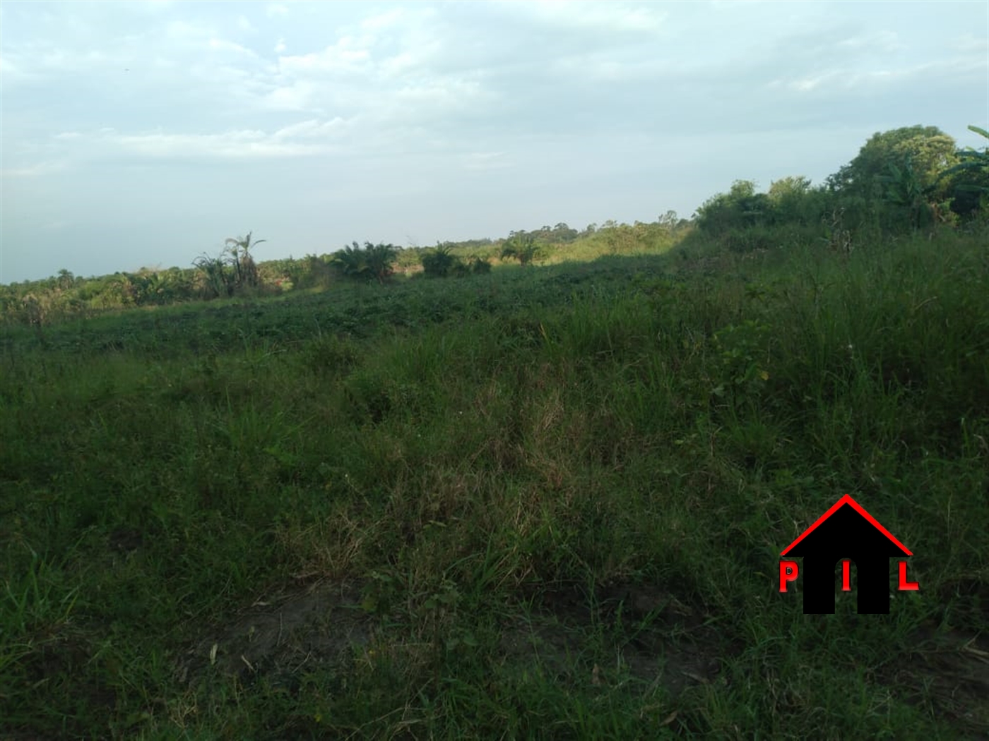 Commercial Land for sale in Janda Wakiso