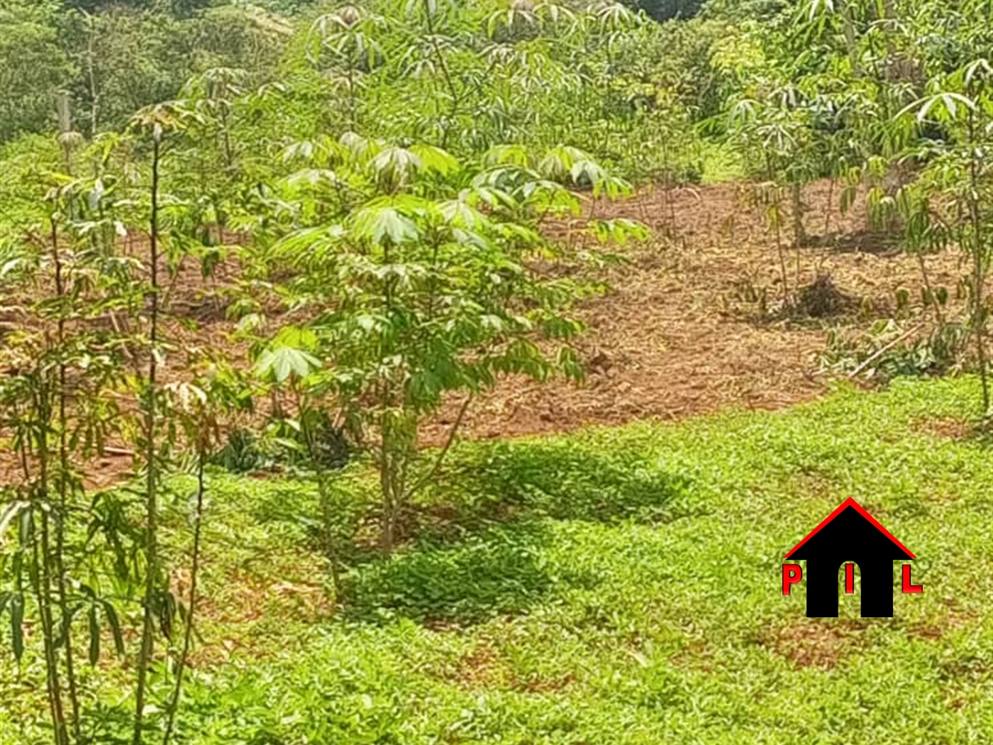 Residential Land for sale in Namugongo Wakiso