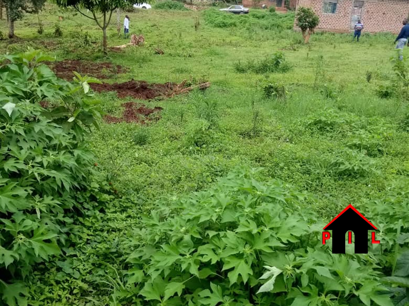 Residential Land for sale in Gombe Butambala