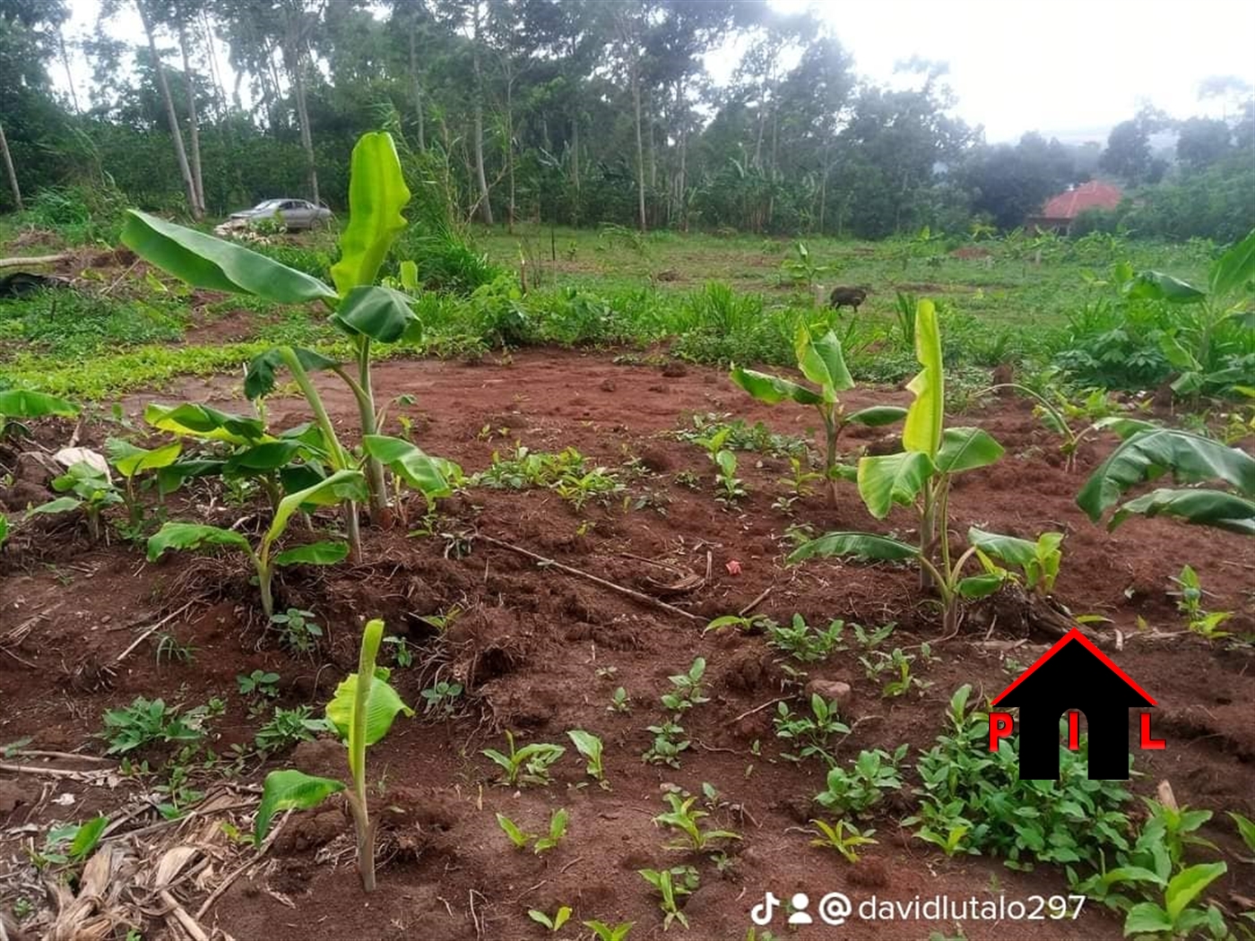 Residential Land for sale in Matugga Wakiso