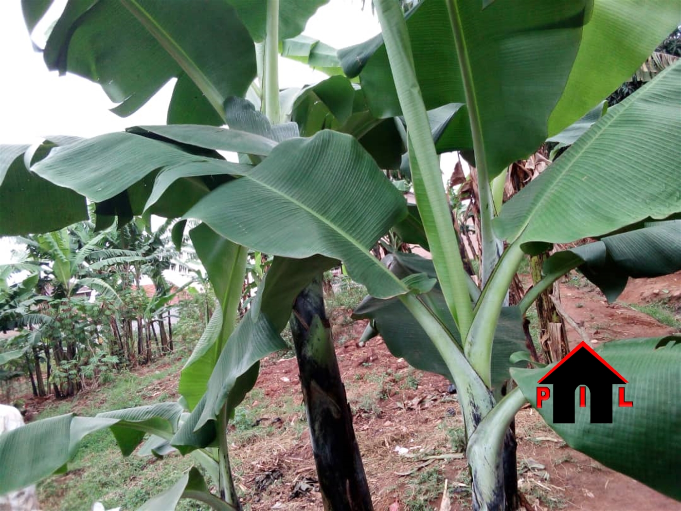 Commercial Land for sale in Namugongo Wakiso