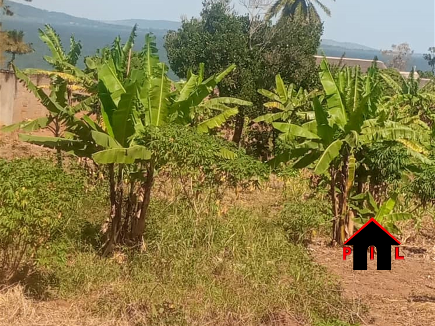 Commercial Land for sale in Munyonyo Kampala