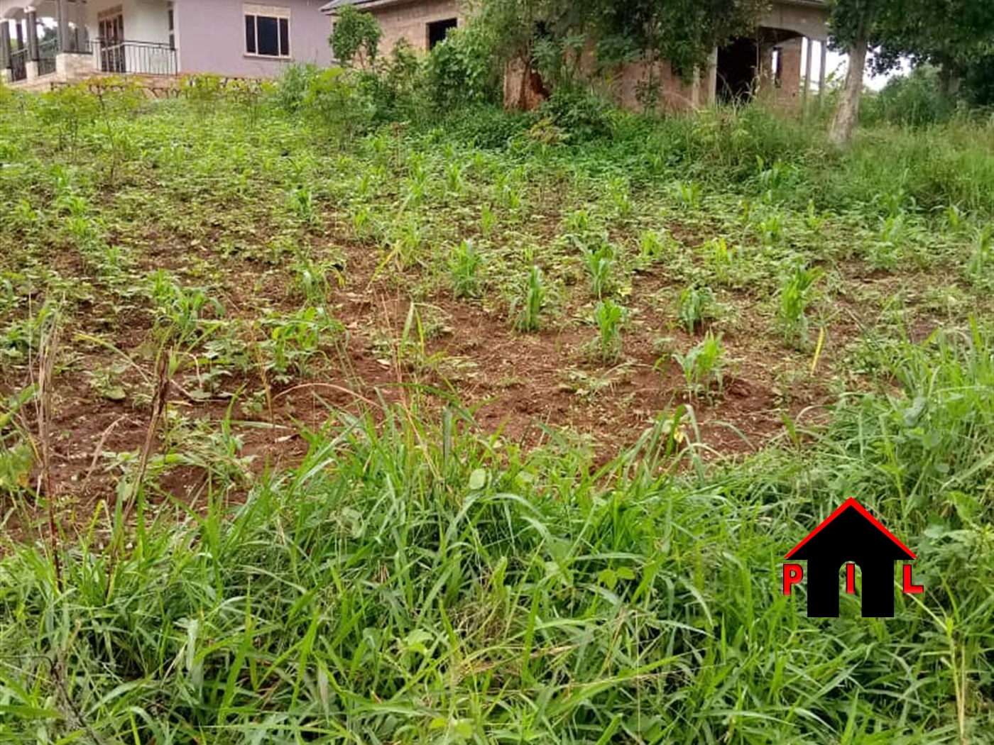 Residential Land for sale in Gombe Butambala