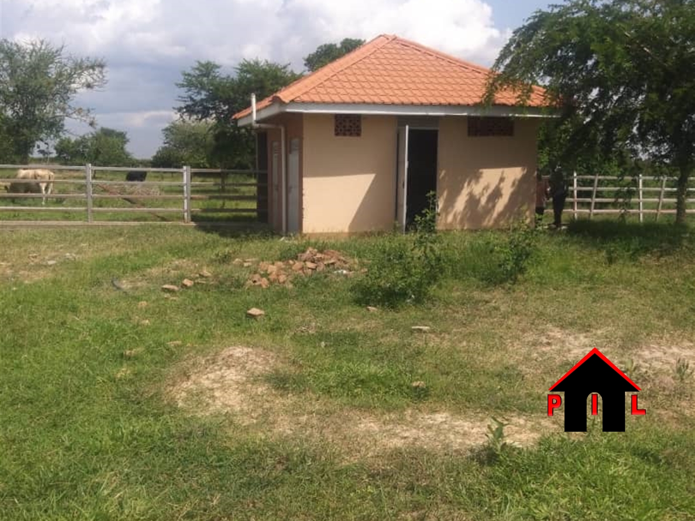 Farm for sale in Kakooge Nakasongola