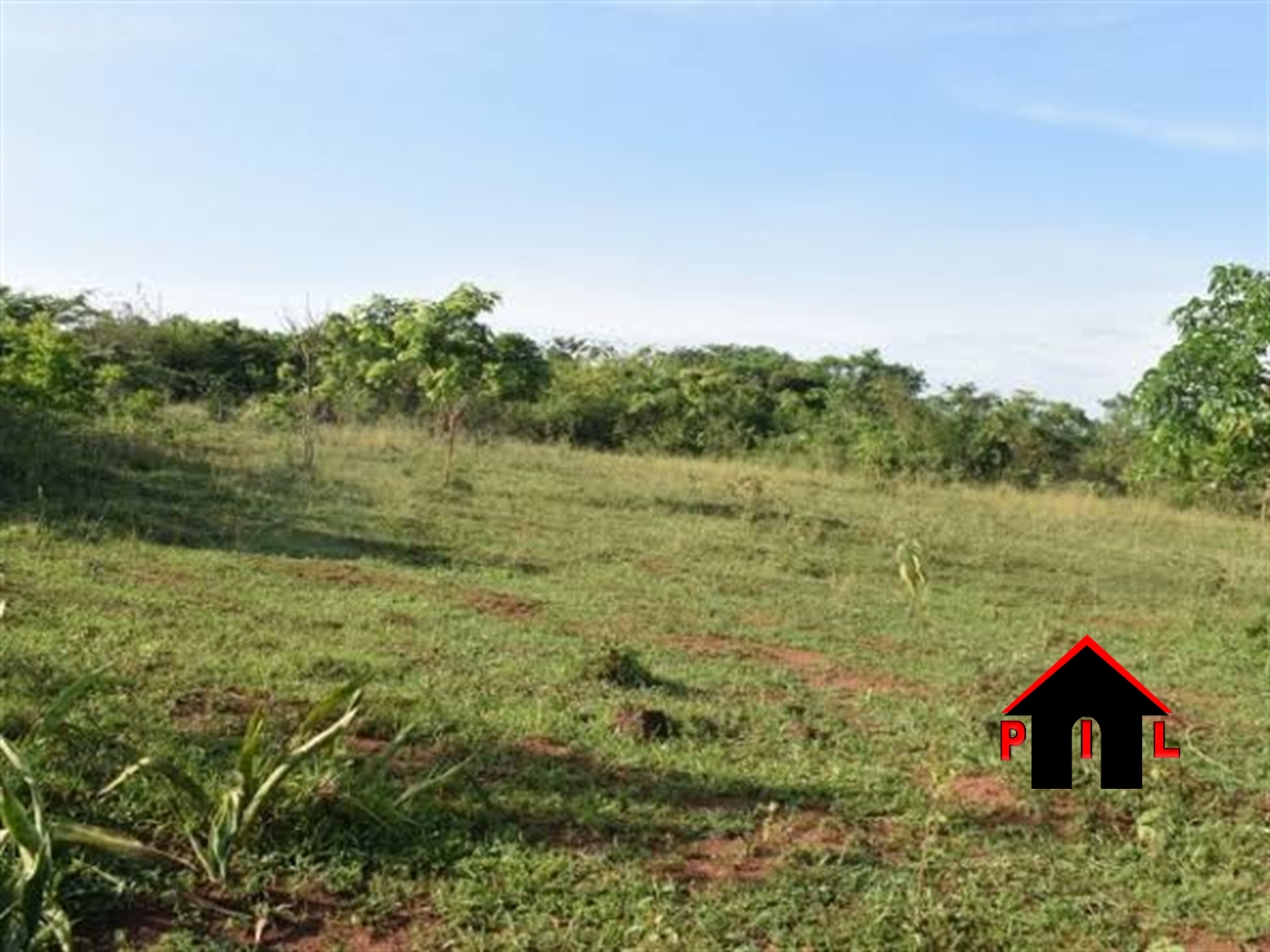 Agricultural Land for sale in Bananywa Kiboga