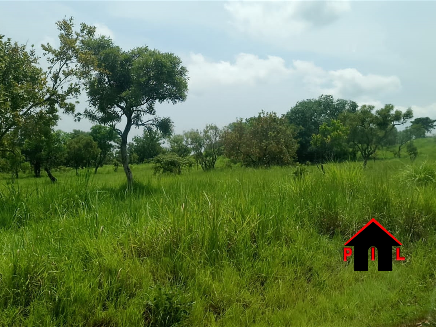 Farm for sale in Acholi Nwoya